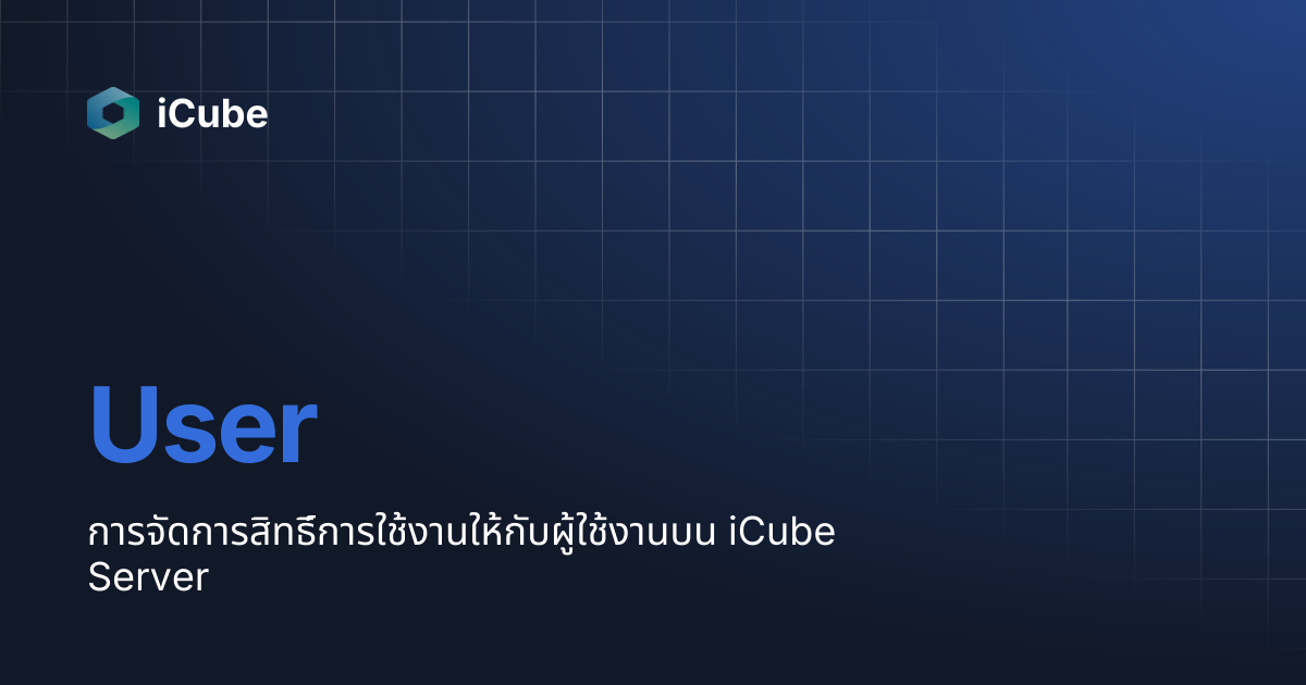 User | iCube